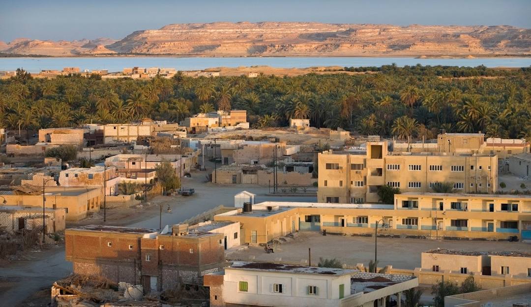 siwa oasis