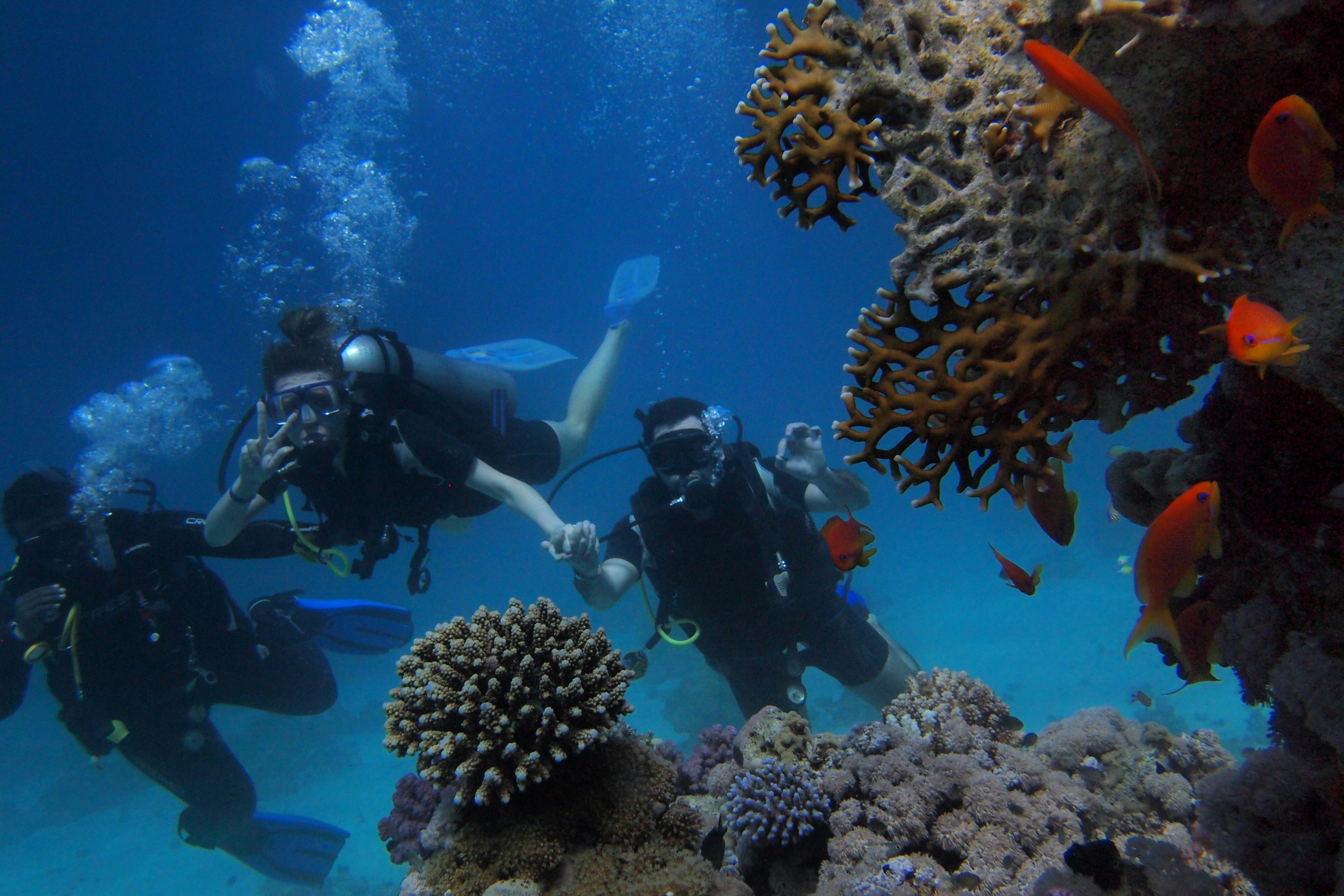 red sea diving